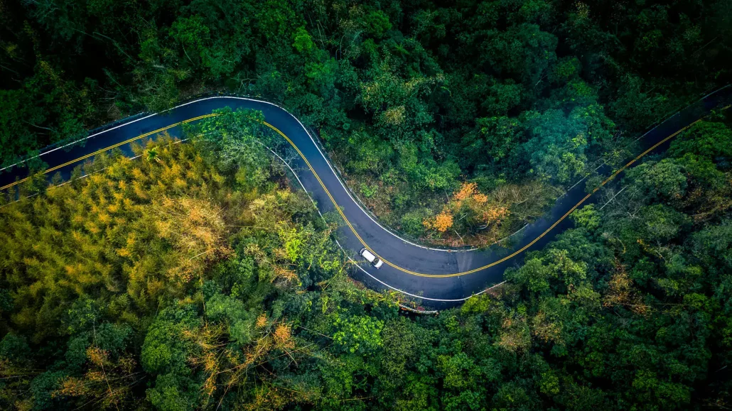 Photo d'une route sinueuse en pleine forêt