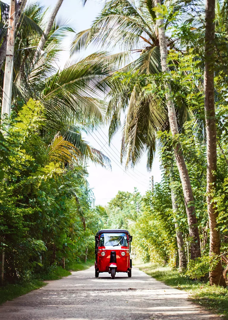 Photo d'un tuk tuk rouge au milieu de palmier